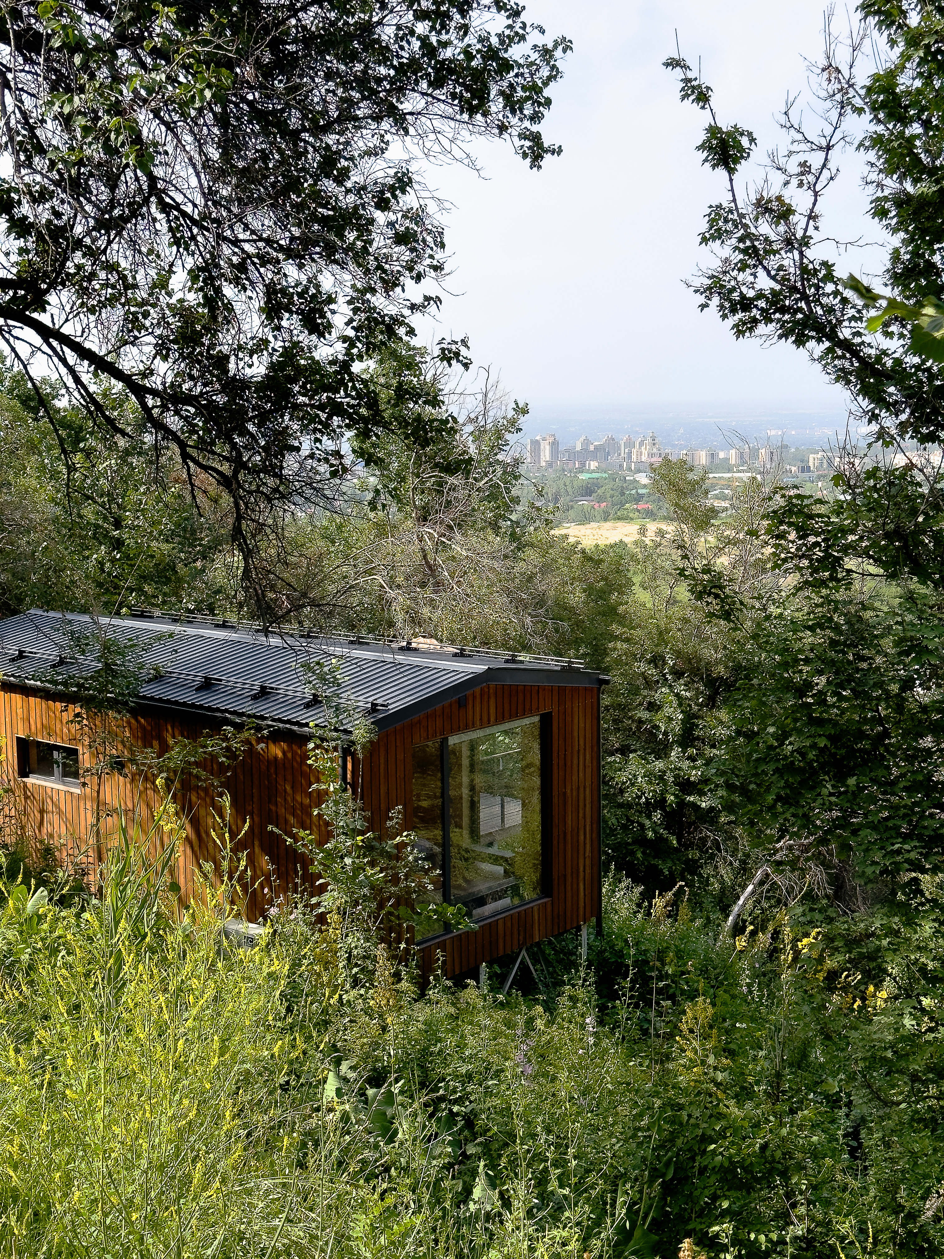 6 гектаров природы